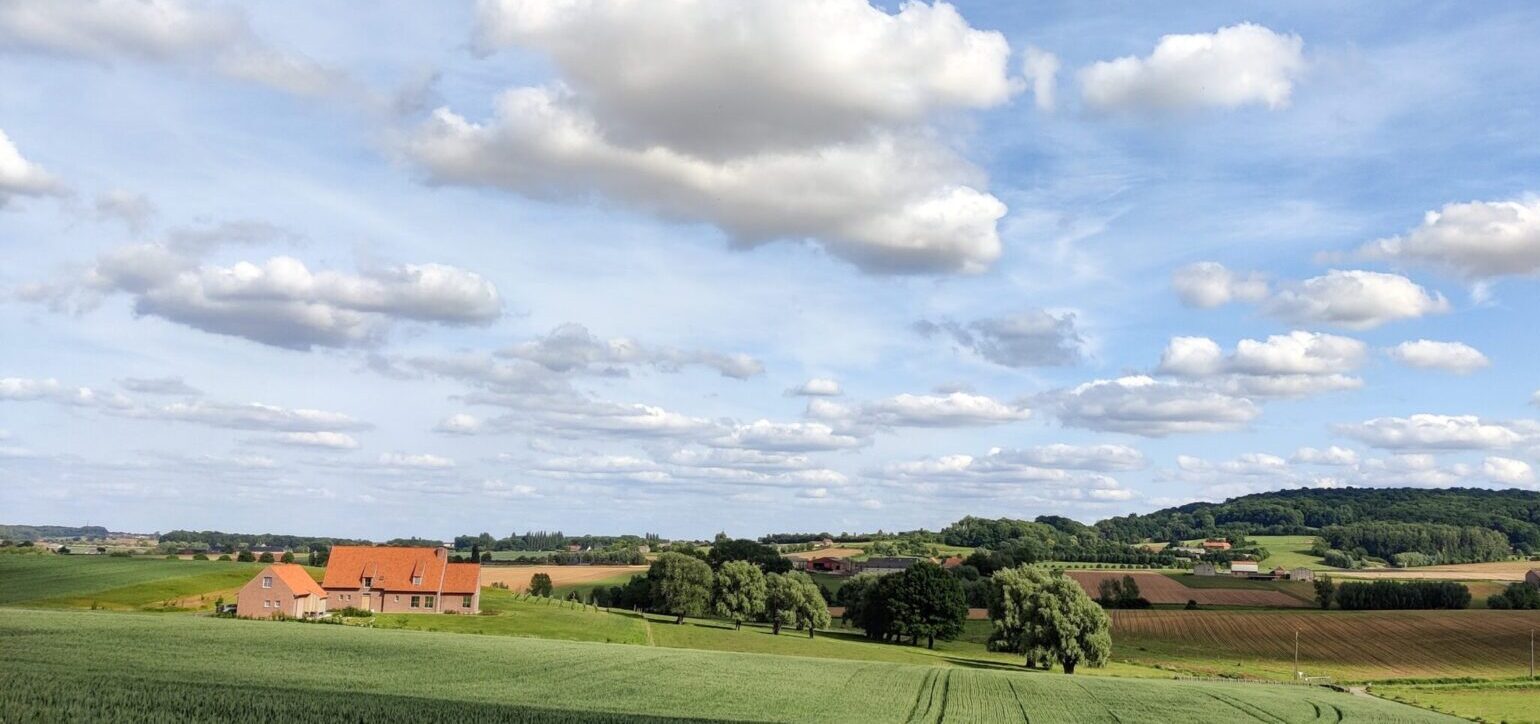 B&B De Zavelaar Heuvelland